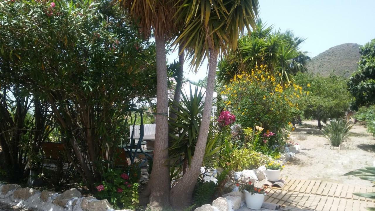 Finca Dulce Maikel Granadilla De Abona Exterior photo